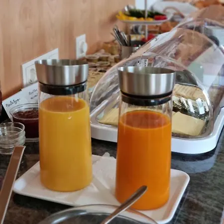 Hofer 게스트하우스